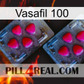 Vasafil 100 14